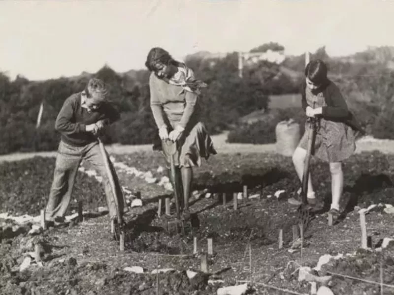 Local History - Projects