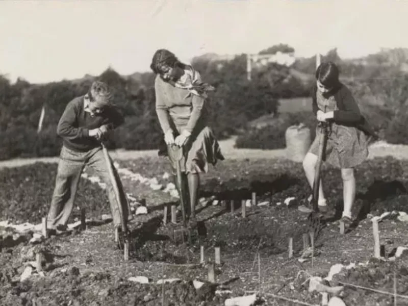 Local History - Projects